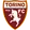 Torino flag
